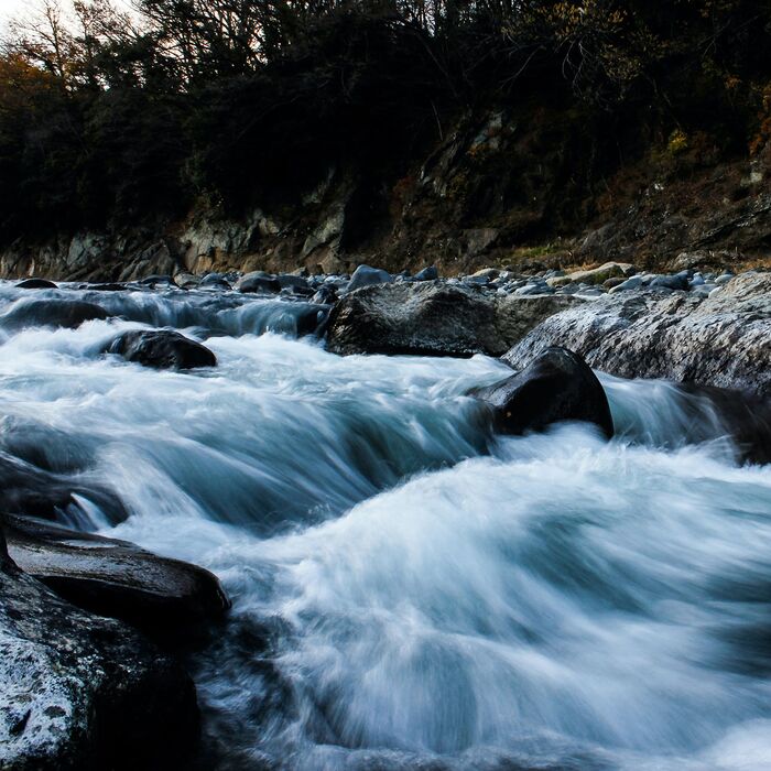 Wildwasserbach mit Steinen, im Hintergrund Bäume